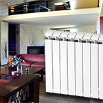 Radiateur Ecotec